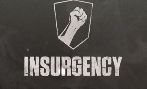 Insurgency review on PC