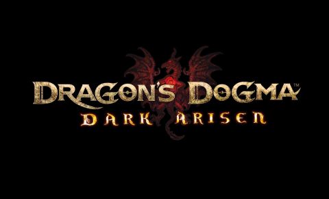 Dragon's Dogma: Dark Arisen review on PC