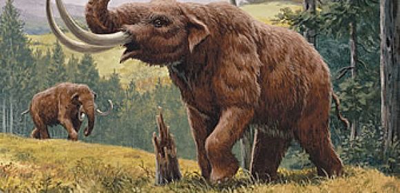 13,000-Year-Old Mastodon Bone Found by Boys in Their Backyard