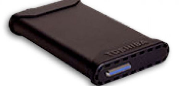 Toshiba 200 GB Portable Backup Drive: Speed Is Not Of The Essence