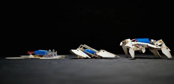 A Flat Sheet Becomes a Robot in 4 Minutes Thanks to Origami – Video
