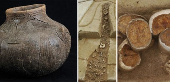 A Tale of 7,000-Year-Old Cannibalism