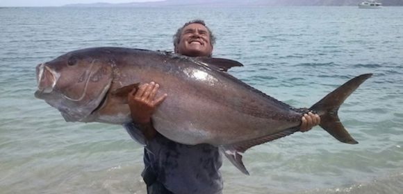 Anglers Catch Record Amberjack in Sea of Cortez, Eat It Before Weighing