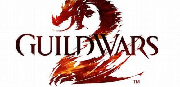 ArenaNet Is Working on First Expansion for Guild Wars 2