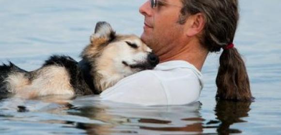 Arthritic Dog Recovers After Picture of Him and His Owner Goes Viral