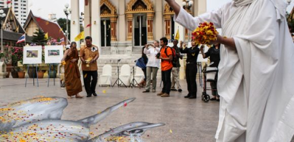 Buddhist Leaders in Thailand Pray for Poached Elephants
