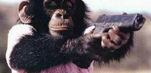Chimp Is Given AK-47, Starts Shooting at Soldiers