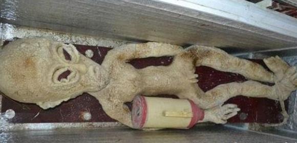 Chinese Man Says There's an Electrocuted Alien in His Freezer, Posts Pictures to Prove It