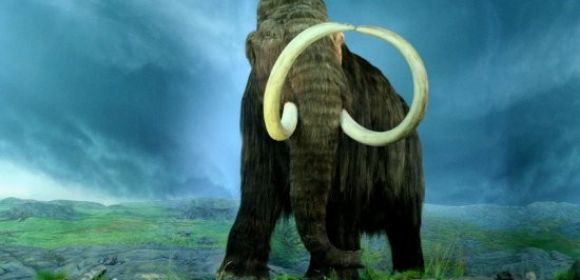 Cloning a Woolly Mammoth Is an Actual, Ongoing Science Project