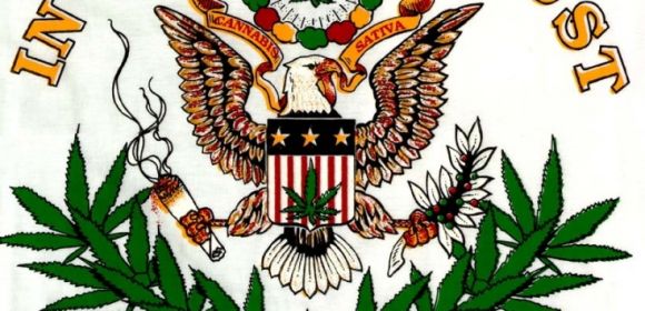 Colorado and Washington Pass Amendment for Legalization of Marijuana