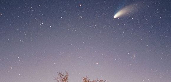 Comet Dust Reveals 'Surprise' Particles
