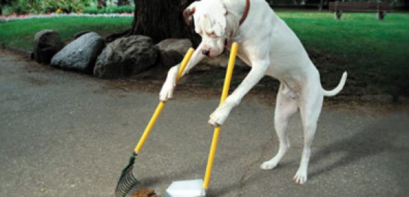 DNA Testing to Track Down Owners Who Don’t Scoop Their Dog’s Poop