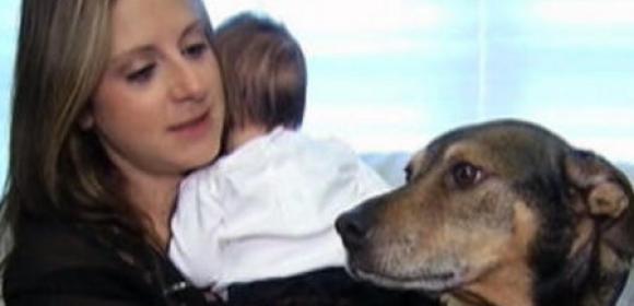 Dog Saves 9-Week-Old Baby