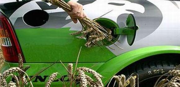 EU Might Be Considering Cutting Subsidies for Crop-Based Biofuel