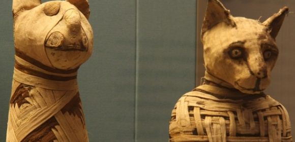 Egyptian Mummies Exposed as Fakes Made from Sticks, Mud and Eggshells