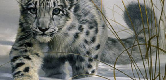 Endangered Snow Leopard Cubs Now Caught on Tape [VIDEO]
