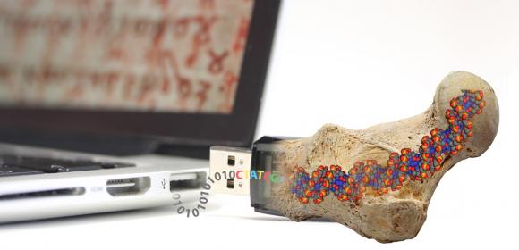 Everlasting Synthetic Fossils to Store Data for Posterity