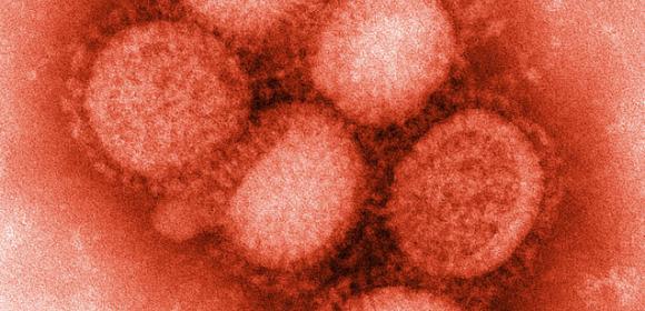 Fighting Influenza on Its Own Territory