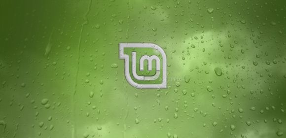 First Look: Linux Mint 7 RC1