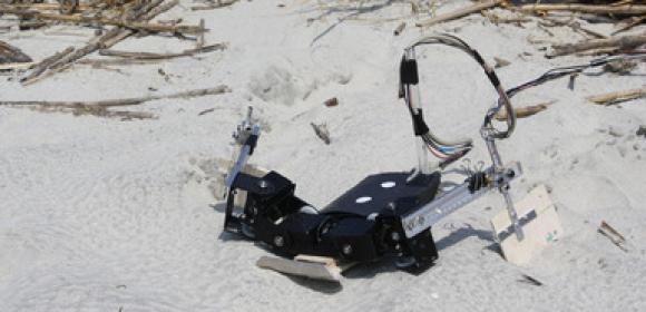 Sand-Crossing Robot Inspired by Sea Turtles Looks More like a Weird Scorpion
