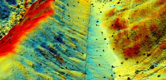 Fresh Fault Ruptures Studied with 3D Models