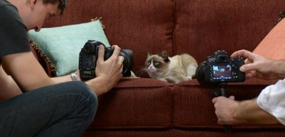 Grumpy Cat Set to Appear in Commercials for Friskies