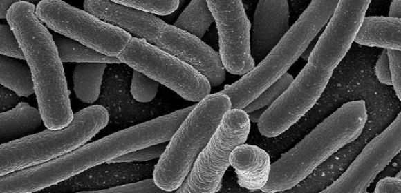 How Bacteria Protect Themselves Against Aggressive Oxygen