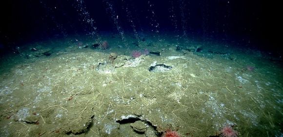 Hundreds of Previously Unknown Gas Plumes Found Along the US Atlantic Coast