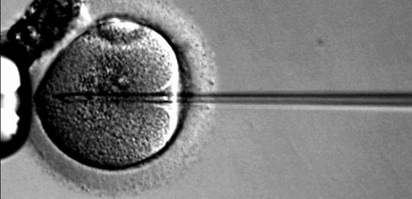 IVF Babies May Experience Long-Term Health Issues