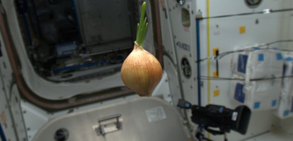 It's Not Every Day You See an Onion Floating in Space – Photo