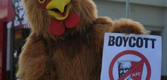 KFC Protester Dressed as a Chicken Gets Food Thrown at Him