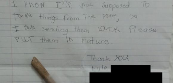 Kid Apologizes for Taking Two Sticks out of Yosemite National Park