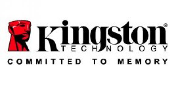 Kingston Sees a Slight Increase in Revenues in 2009