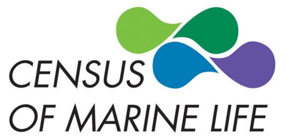 Largest-ever Marine Census Completed