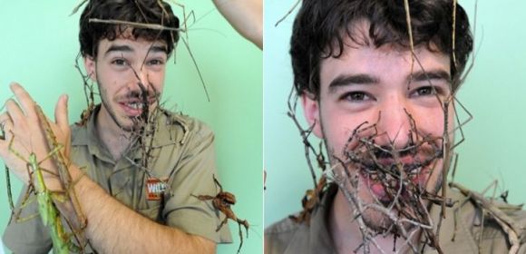 Man Covers His Face with Stick Bugs to Celebrate New Habitat