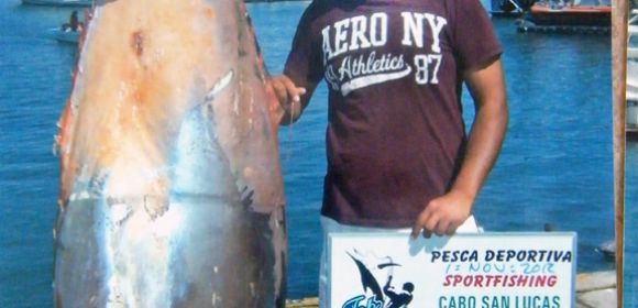 Mysterious 300 Pound (136 Kg) Fish Caught in Cabo, Then Stolen