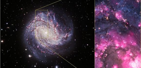 Mysterious Black Hole Observed in the Galaxy M83