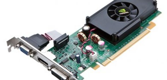 NVIDIA Graphics Cards Surface, GeForce 310 and GeForce 205