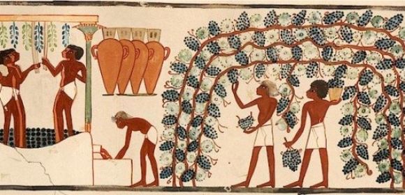 Necklaces Made of Leaves Can Cure Hangovers, Ancient Papyrus Claims