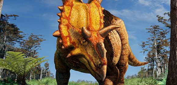 New Dinosaur Discovered in Canada: Xenoceratops Foremostensis