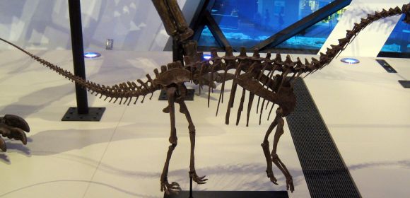New Study Explains Why There Were No Small Dinosaurs