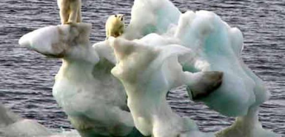 North Pole Iceless by the End of the Summer, Scientist Say