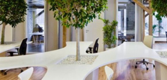 Office Building Has Indoor Forest of Potted Trees and Plants