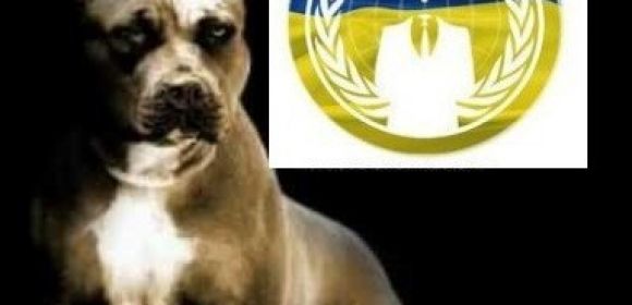OpUkraine: Anonymous Attacks Kiev, Football Federation, Ministry of Agriculture Sites