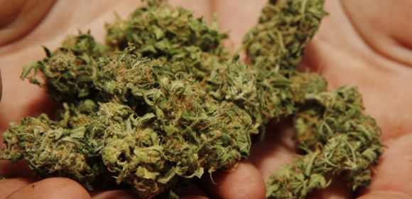 Oregon Man Calls 911 to Ask Where He Can Buy Some Pot