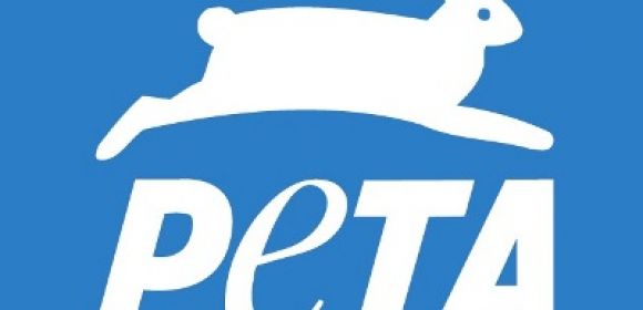 PETA Explain Why They Euthanize Thousands of Animals Yearly