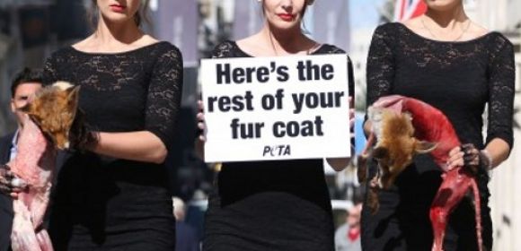 PETA Models Strut the Streets Carrying Corpses of Skinned Foxes