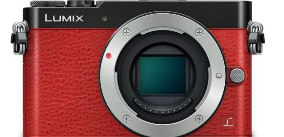 Panasonic Lumix GM5 Tiny, Compact Camera Has Viewfinder, Hotshoe – Gallery