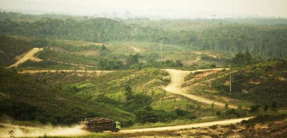 Paper Giant APP Agrees to End Deforestation
