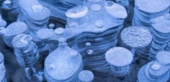Picture of the Day: Underwater Ice Bubbles